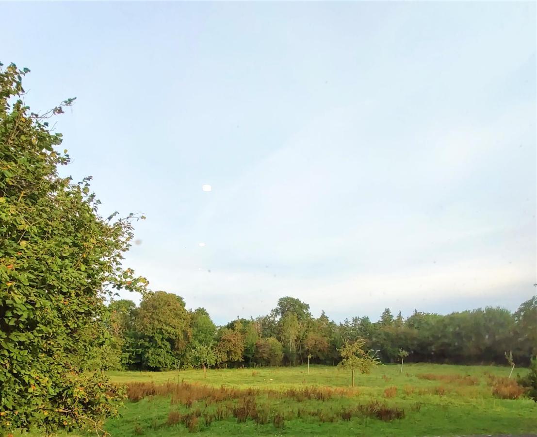 Gite Les Hirondelles - Bord De Mer Et Campagne Tracy-sur-Mer Zewnętrze zdjęcie